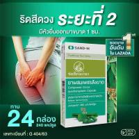 ราคา ช่อเขียวมะกอก สมุนไพรช่วยเรื่องริดสีดวง เพชรสังฆาต 24 กล่อง 240 แคปซูล ริดสีดวง ยุบ ผ่อ (17562443142)