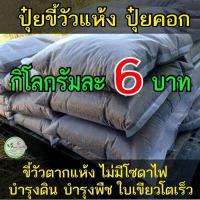 ราคา ปุ๋ยขี้วัว ขี้วัว มูลวัว ขี้วัวแห้ง โลละ 6 บาท ถูกสุดๆ ขี้วัวตากแห้ง ไม่มีโซดาไฟ พร้อมใช้ ปุ๋ยคอก ปุ๋ยอินทรีย์ บำรุง ดิน พืช คุณภาพดี (9603833322)