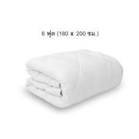 ราคา Orientas Night Mamori ผ้ารองกันเปื้อน ผ้าปูรองที่นอน กันเปื้อน กันไรฝุ่น เสริมรัดมุม 4 ด้าน ขนาด 3 5 5 6 ฟุต (13619343954)