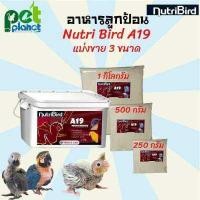 ราคา 250g 500g 1kg อาหารลูกป้อน Nutribird A19 H E อาหารลูกนก อาหารนก นมผงนก นมสำหรับนก สูตรโปรตีนและไขมันสูง แบ่งจำหน่าย 250 g 1 Kg (11135039487)