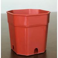 ราคา กระถางแคตัส กระถางต้นไม้ กระถางพลาสติก 2นิ้ว 3นิ้ว 4นิ้ว ทรงแปดเหลี่ยม สี ขาว ดำ อิฐ ชุดละ 50 ใบ (14106977633)