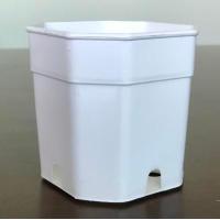 ราคา กระถางแคตัส กระถางต้นไม้ กระถางพลาสติก 2นิ้ว 3นิ้ว 4นิ้ว ทรงแปดเหลี่ยม สี ขาว ดำ อิฐ ชุดละ 50 ใบ (14106977631)