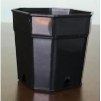 ราคา กระถางแคตัส กระถางต้นไม้ กระถางพลาสติก 2นิ้ว 3นิ้ว 4นิ้ว ทรงแปดเหลี่ยม สี ขาว ดำ อิฐ ชุดละ 50 ใบ (16126503942)