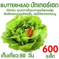 ราคา ค่าส่งถูก ถ้วยปลูกผัก 50ใบ ถ้วยปลูกผักไฮโดรโปนิกส์ ถ้วยปลูกผักไฮโดร ถ้วยปลูกขาว สีขาว แบบใช้ซ้ำ ไฮโดรโปนิกส์ ไฮโดร hydroponic hydro (16596436606)