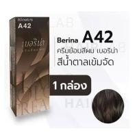 ราคา A41 A47 Berina Hair Color Cream 60ml เบอริน่า ครีมย้อมผม 47 เฉดสี 50 ml (12293957849)