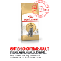ราคา Royal Canin แมว แบ่งขายสำหรับทดลอง (11298840434)