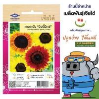 ราคา CHIATAI ดอกไม้ เจียไต๋ H003 ทานตะวัน บิวตี้ มิกซ์ ดอกไม้ซอง ผักซอง เมล็ดพันธุ์ เมล็ดพันธุ์ผัก เมล็ดพันธุ์ดอกไม้ ดอกไม้เจียไต๋ (5059482961)