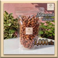 ราคา ดิบ อัลมอนด์ แอลม่อน แอลมอล เต็มเม็ด Raw Almond kernel ธัญพืช ขนาด 1 000 กรัม ไม่เหม็นหืน (10686722793)