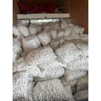 ราคา ดินสอพอง แป้งสงกรานต์ (18413715253)