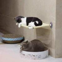 ราคา ที่นอนอาบแดด ที่นอนสัตว์เลี้ยง Cat Holiday sunny seat ทำความสะอาดง่าย ที่นอนชมวิว Window Cat Bed เปลแมว สูญญากาศ ของเล่นแมว ที่นอนแมวแบบติดกระจกหน้าต่าง ที่นอนติดกระจกประตู เปลแมวต (7535278032)