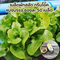 ราคา เมล็ดผักสลัด แบบเคลือบ ออแกนิกส์ นำเข้า เนเธอร์แลนด์ non GMO 12 ชนิด 50 เมล็ด ซอง (635410358)