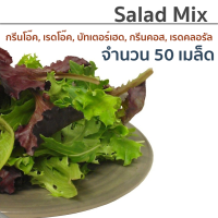 ราคา เมล็ดผักสลัด แบบเคลือบ ออแกนิกส์ นำเข้า เนเธอร์แลนด์ non GMO 12 ชนิด 50 เมล็ด ซอง (17438768741)
