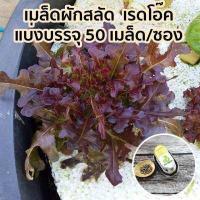 ราคา เมล็ดผักสลัด แบบเคลือบ ออแกนิกส์ นำเข้า เนเธอร์แลนด์ non GMO 12 ชนิด 50 เมล็ด ซอง (635414405)