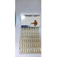 ราคา พร้อมส่ง exp01 2025 aktivait cat vetplus อาหารเสริมสำหรับแมว aktivaite cat (17342977896)