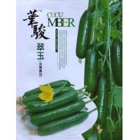ราคา เมล็ดแตงกวาญี่ปุ่น 60 200เมล็ด แตงกวาดัช Japanese Cucumber เมล็ดนำเข้า (17042278336)