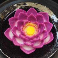 ราคา แม่พิมพ์วุ้น พวงมาลัย 3 สไตล์ เตรียมรับ สงกรานต์ (14514457212)