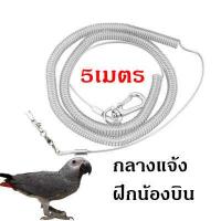 ราคา สายคล้องขานก สายจูงนกแบบยืดหยุ่น 5เมตร ห่วงเปิดนก ห่วงขานก สายยืดคล้องขานก นกแก้ว อุปกรณ์เลี้ยงนก สายพานกเที่ยว กลางแจ้ง ฝึกนกบิน (16247529613)