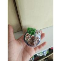 ราคา เซตธูปเทียน แจกันดอกบัว ขนาดความสูง 3 นิ้ว ชุดบูชาหิ้งพระ ชุดบูชาหน้าพระ (18960142985)