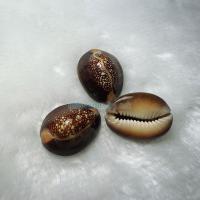 ราคา เปลือกหอยเบี้ยแท้ เบี้ยแก้ เบี้ยจั่น สีธรรมชาติ ราคาต่อแพ๊ค (10216003476)