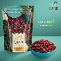 ราคา Nutsland แครนเบอร์รี่อบแห้ง Cranberries ธรรมชาติ พร้อมรับประทาน นำเข้า USA เกรด AAA ขนาด 250 500 1000 กรัม (15919370232)