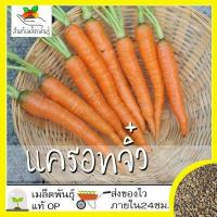 ราคา เมล็ดพันธุ์ แครอทจิ๋ว แครอทเบบี้ 2000 เมล็ด Little Fingers Carrot Seed เมล็ดพันธุ์แท้นำเข้าจากต่างประเทศ ปลูกผัก สวนครัว (2939610545)