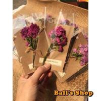 ราคา การ์ดดอกไม้อบแห้ง การ์ดดอกไม้ ของขวัญราคาถูก ของปัจฉิมราคาถูก ดอกไม้แห้ง ดอกสแตติส (17453645477)