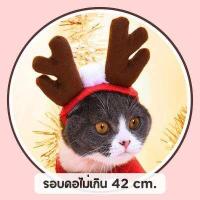 ราคา หมวกสิงโตแมว หูกระต่ายแมว ขนสิงโต หมวกแมว หมวกแฟนซีแมว หมวกสิงโตสุนัข หูกระต่ายสุนัข (10046071990)