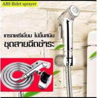 ราคา สายฉีดชำระ สีเงิน พร้อมสาย (950980894)