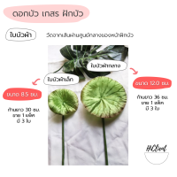 ราคา บัว ใบบัว ดอกบัว เกสร ฝักบัว ใบบัวกระดาษ ใบบัวผ้า (13517269936)
