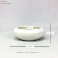 ราคา อ่างบัวจิ๋ว อ่างบัวขนาดเล็ก กระถางปลูกบัวจิ๋ว (10031453244)