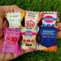 ราคา กระดาษพับเหรียญโปรยทานซองขนมจิ๋วแบบสติ๊กเกอร์ 1 ชุด ทำได้ 100 ชิ้น ใส่ได้ทุกเหรียญ (15980461507)
