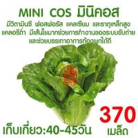 ราคา ค่าส่งถูก ผักสลัด เมล็ดผัก เมล็ดผักสลัด มินิคอส 370 เมล็ด เมล็ดพันธุ์ เมล็ดพันธุ์ผักสลัด งอกดี ปลูกผัก สลัด สลัด salad ไฮโดร hydroponic ผัก (18002964551)