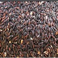 ราคา ข้าวสาร ข้าวสารเหนียว ข้าวสารเหนียวดำ ข้าวเหนียวก่ำ ข้าวก่ำ ข้าวสารข้าวก่ำ ข้าวสารเหนียวก่ำ ข้าวสารไทบ้าน ข้าวก่ำลืมผัว บรรจุ1 ก ก (11987007285)