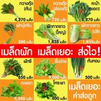 ราคา ค่าส่งถูก รวมผัก เมล็ดผัก เมล็ดพันธุ์ ผักสวนครัว ผักพื้นบ้าน กะเพรา ผักชี ขึ้นฉ่าย คะน้า ต้นหอม ผักกาด พริกขี้หนู พริกหนุ่ม กวางตุ้ง (18082468041)