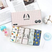 ราคา พร้อมส่งกางเกงในเด็กผู้ชาย1กล่อง5ตัวผ้าฝ้ายกางเกงในเด็กผช (18716802214)