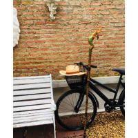 ราคา ไม้เท้า ไม้ไผ่หัวพญานาคราชขนาด 120 ซม สีเขียว (12433263881)