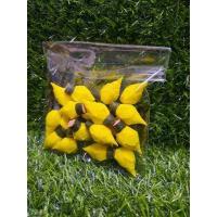 ราคา ดอกข่าตูม ดอกข่าประดิษฐ์จากผ้า เสมือนจริง (16424228500)