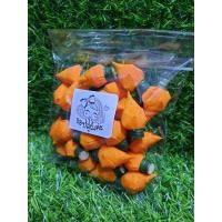 ราคา ดอกข่าตูม ดอกข่าประดิษฐ์จากผ้า เสมือนจริง (16424228501)