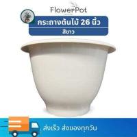ราคา กระถาง 26 นิ้ว กระถางต้นไม้ ทรงสูง หนา สีขาว อ่างปลูกบัว อ่างเลี้ยงปลา (16189284140)