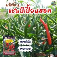 ราคา เมล็ดพริกขี้หนู แชมป์เปี้ยนฮอท 44 F 1 Hot Pepper ปริมาณ150เมล็ด เมล็ดพันธุ์พริกขี้หนู เมล็ดพริก ตราภูเขาทอง (16064903117)