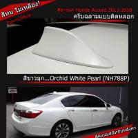 ราคา ครีบฉลาม ACCORD รุ่นBM แบบติดหลอกเพื่อความสวยงาม เสาครีบฉลามแอคคอร์ด (14307486962)