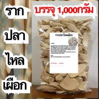 ราคา รากปลาไหลเผือก บรรจุ 1 000กรัม รากปลาไหลเผือกแห้ง สมุนไพรรากปลาไหลเผือก สมุนไพรรากปลาไหลเผือกแห้ง (17452401833)
