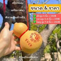 ราคา น้ำเต้า8เหรียญจีน ผ่านพิธี พู่แดง ของแถม น้ำเต้าแท้ น้ำเต้าดูดทรัพย์ น้ำเต้าฮวงจุ้ย น้ำเต้าลูกเล็ก ของตกแต่งบ้าน (19100029762)