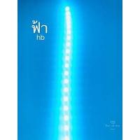 ราคา ไฟเส้น led มะรุม 3528 12v สำหรับตกแต่งรถยนต์ รถมอเตอร์ไซค์ ลำโพง เครื่องเสียง สีสันสวยงาม เหมาะสำหรับกลางคืนและเทศกาล (5486842923)