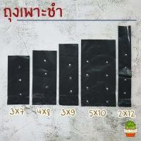 ราคา ถุงเพาะชำสีดำ เจาะรู ถุงเพาะกล้า ถุงเพาะดำ ถุงเพาะชำ 4x8 เพาะยางพารา 2x12 ถุงเพาะต้นกล้า ถุงเพาะทุเรียน ถุงเพาะชำยางพารา ขนาด 1 0 กก (3373020321)