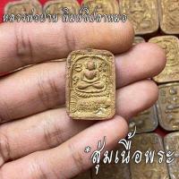 ราคา จี้พระ หลวงพ่อปาน วัดบางนมโค สุ่มเนื้อ 1 20 องค์ รวมเครื่องราง หลวงพ่อปาน พิมพ์ขี่ไก่ พิมพ์ไข่ปลา พิมพ์ทรงครุฑ ฯลฯ เนื้อจัดทุกองค์ (16777485114)