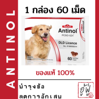 ราคา 1 กล่อง Exp 9 24 บำรุง ข้อ Antinol สุนัข 60 เม็ด บำรุง ข้อ สกัดจากหอยแมลงภู่นิวซีแลนด์ (12123437552)
