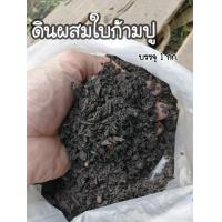 ราคา ดินผสมใบก้ามปู แบ่งขาย 1 กก (11019623118)
