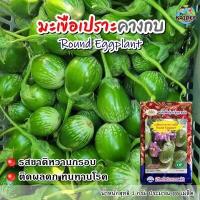 ราคา เมล็ดมะเขือเปราะคางกบ รณพีร์ Round Eggplant ตราภูเขาทอง เมล็ดพันธุ์มะเขือเปราะ เมล็ดมะเขือเปราะ มะเขือเปราะคางกบ เมล็ดพันธุ์มะเขือ (16492015334)