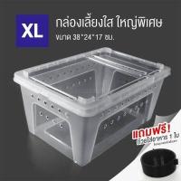 ราคา กล่องเลี้ยงสัตว์เลื้อยคลาน เต่า กบ ตุ๊กแก งู กล่องเลี้ยงสัตว์โปร่งใส มีรูระบายรอบกล่อง (9599819633)